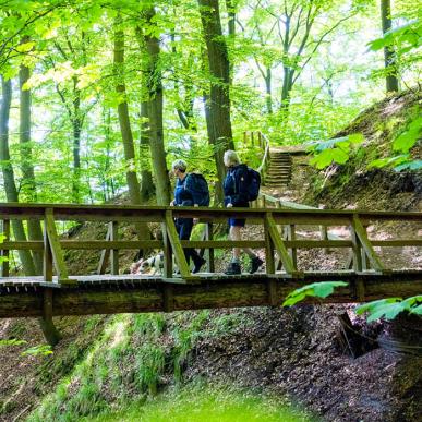 Wanderung auf dem Gendarmenpfad über die Brücke im Kollund Wald