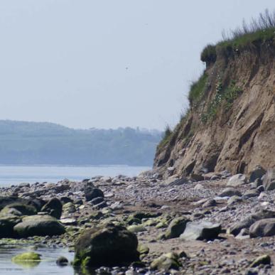 Digesvaler ved Borreshoved Strand