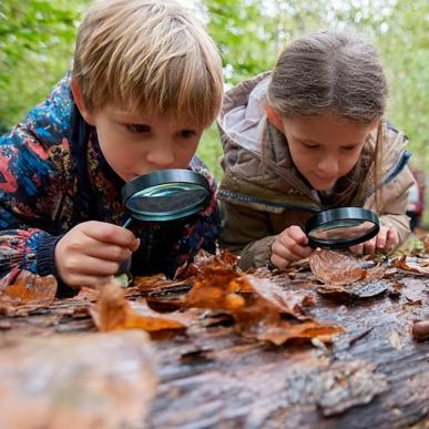 Børn på opdagelse i efterårsskov i Sønderborg