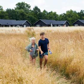 Children in a cornfield in front of holiday homes 