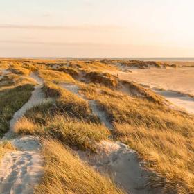 Dunes on Rømø