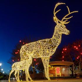 Julens lys i Sønderborg by på øen Als