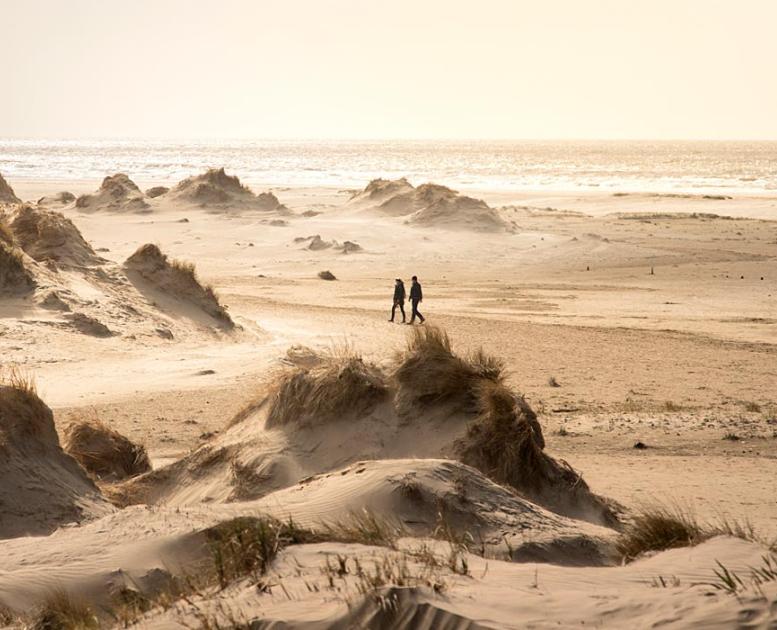 Dunes on Rømø