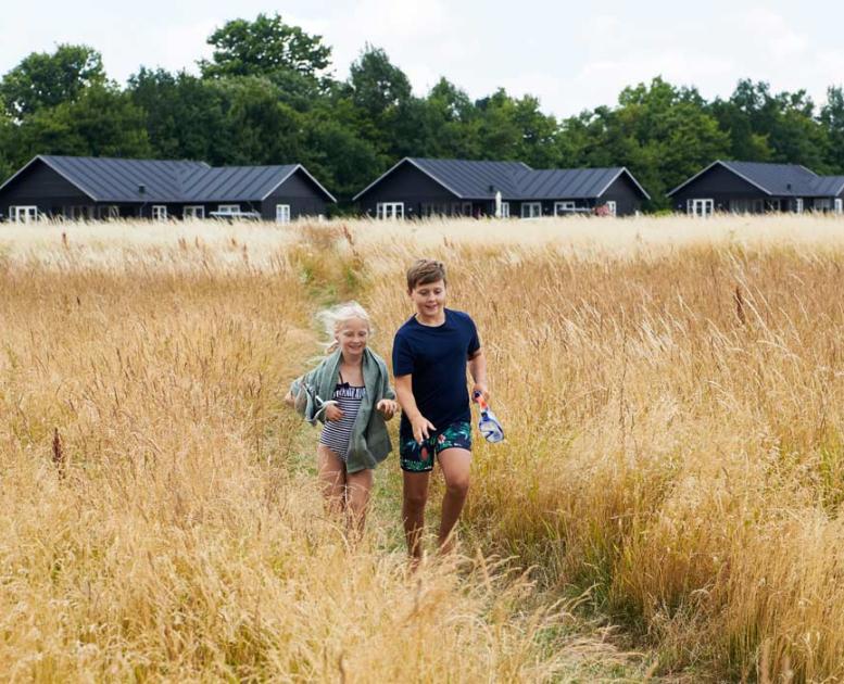 Children in a cornfield in front of holiday homes 