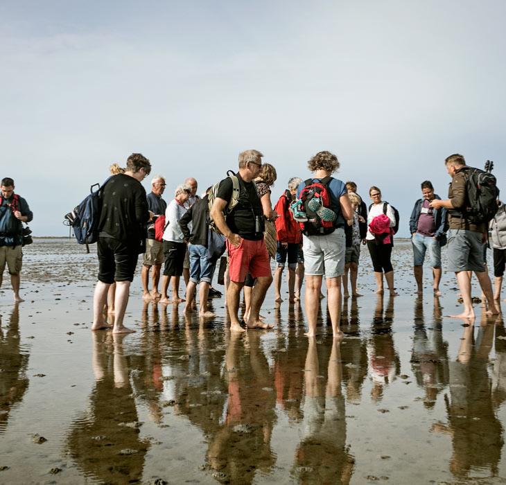 The Wadden Sea