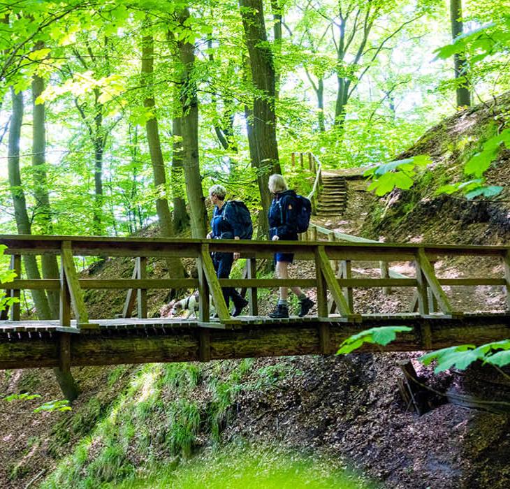 Vandretur på Gendarmstien over bro i Kollund Skov