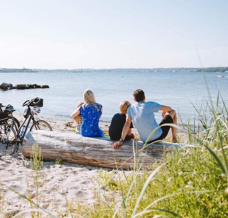 Family sitting next to their bikes on the beach and looking out over the water